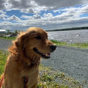 Meet your Posher, Jaden